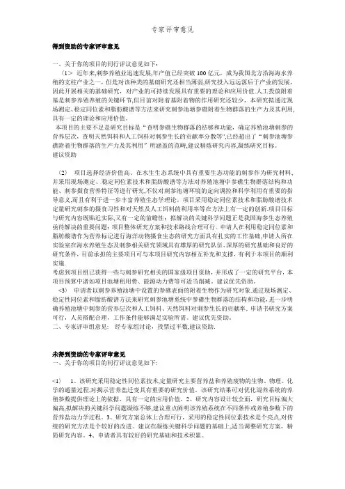 专家评审意见