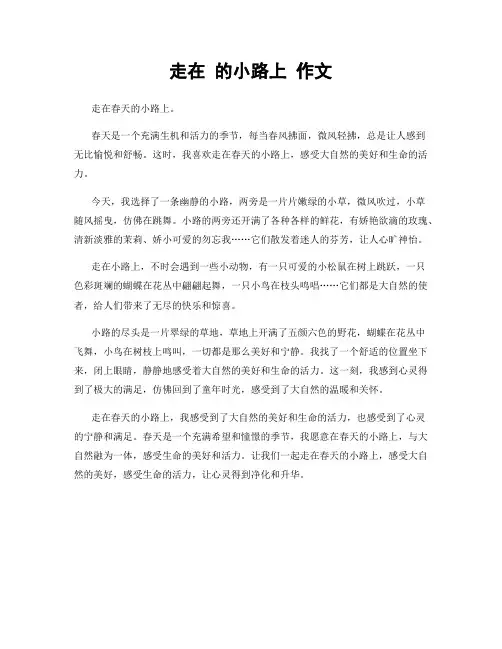 走在 的小路上 作文