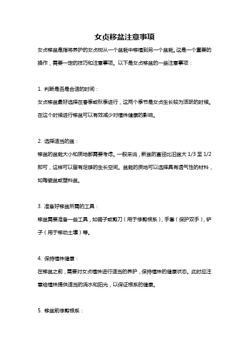 女贞移盆注意事项