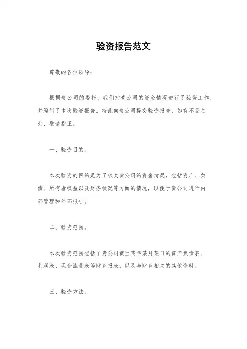 验资报告范文