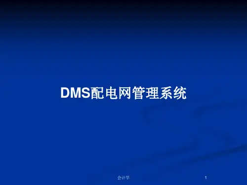 DMS配电网管理系统PPT教案