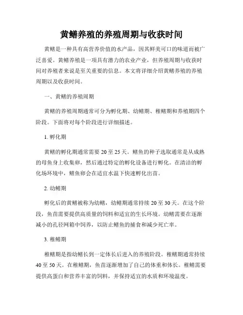 黄鳝养殖的养殖周期与收获时间