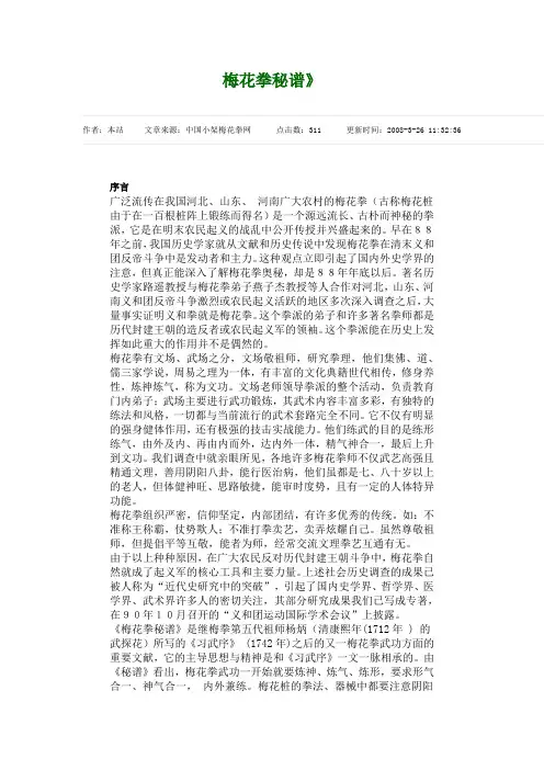 梅花拳秘谱