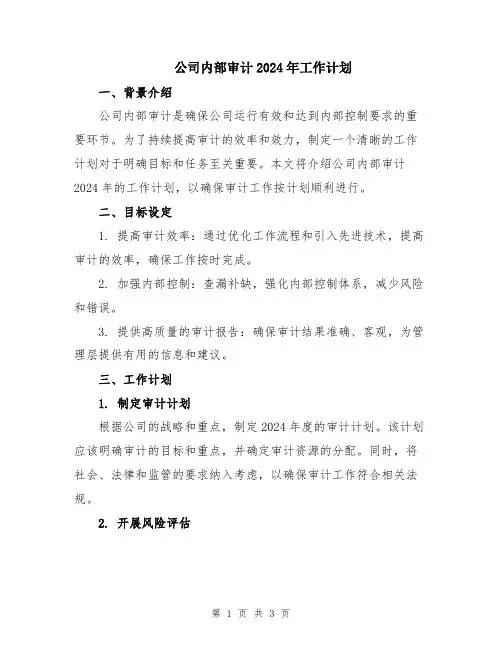 公司内部审计2024年工作计划