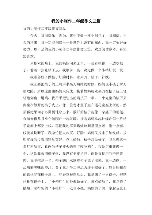 我的小制作二年级作文三篇