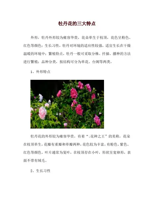 牡丹花的三大特点