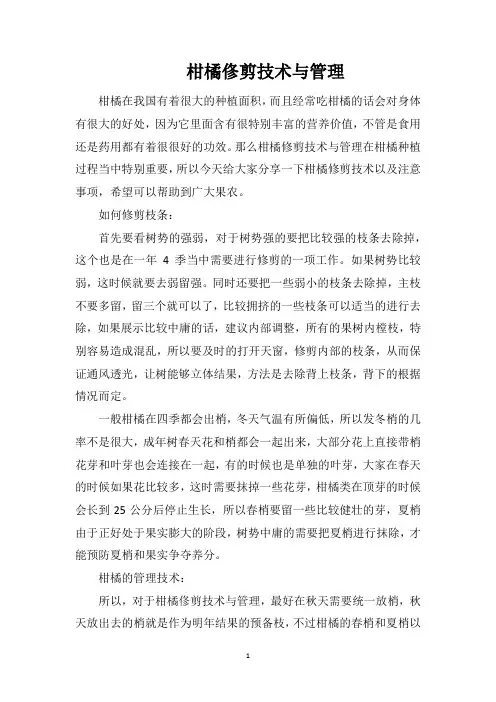 柑橘俢剪技术与管理