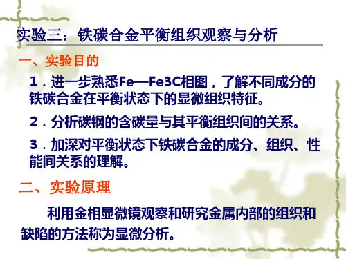 铁碳合金平衡组织观察与分析教材ppt(31张)