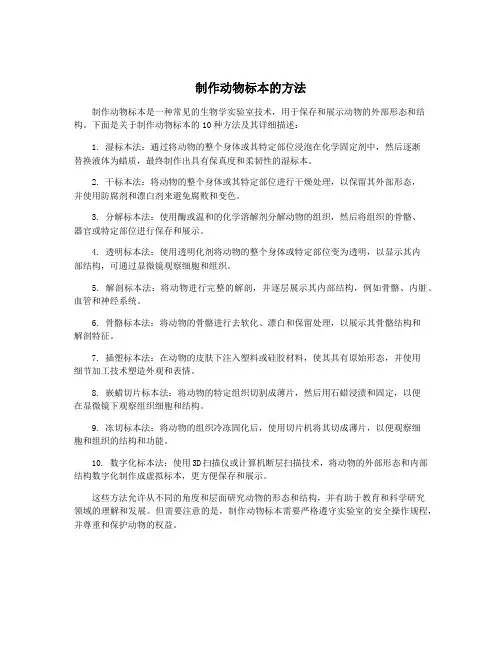 制作动物标本的方法