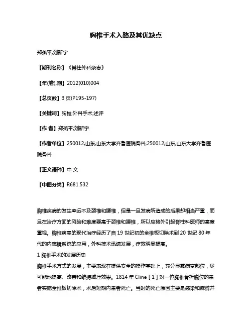 胸椎手术入路及其优缺点