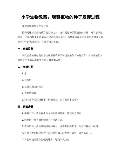 小学生物教案：观察植物的种子发芽过程