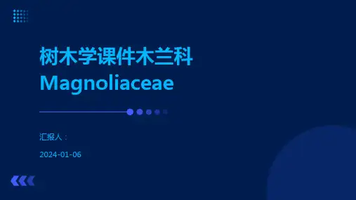树木学课件木兰科Magnoliaceae
