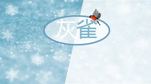 三年级语文上册《灰雀》PPT课件