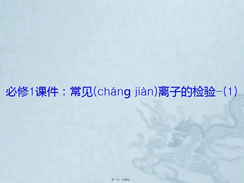 必修课件：常见离子的检验()