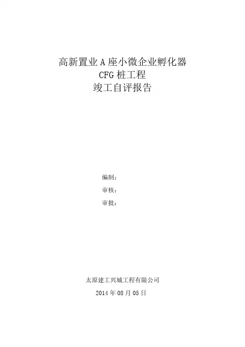 (完整版)CFG桩自评报告