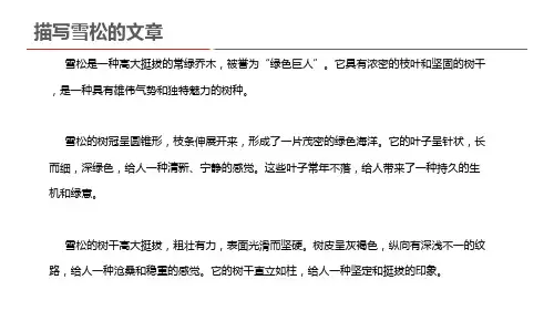 描写雪松的文章