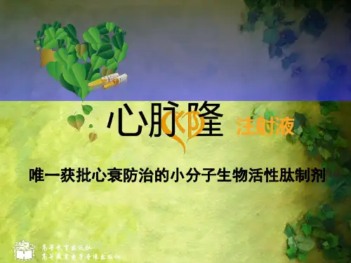 心脉隆科室会PPT (更新 基础版)
