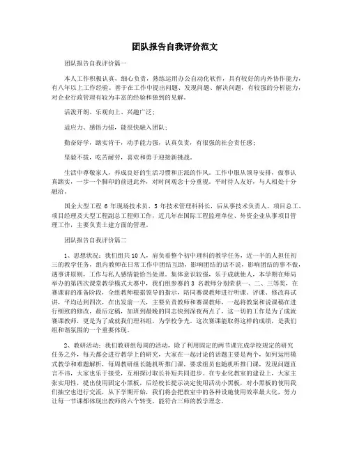 团队报告自我评价范文