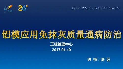 06铝模应用免抹灰质量通病防治最终稿