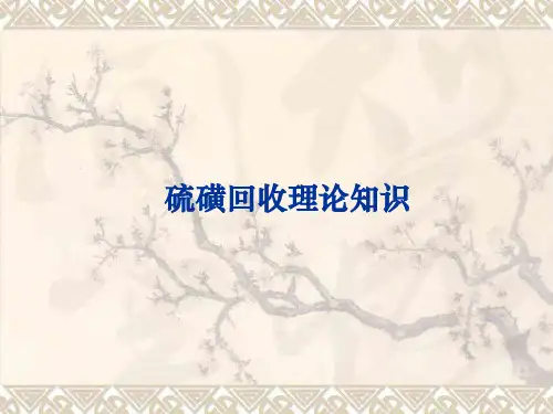 硫磺回收工艺原理PDF