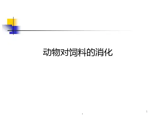 动物对饲料的消化ppt课件