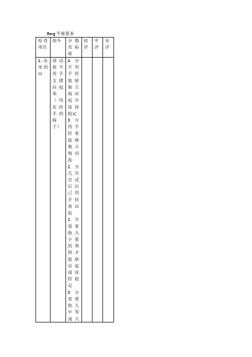Berg平衡量表(全)