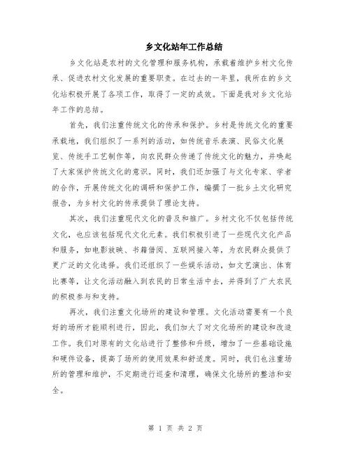 乡文化站年工作总结