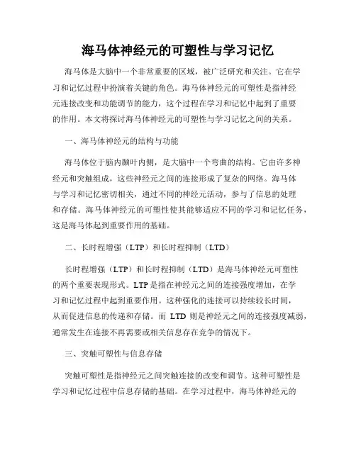 海马体神经元的可塑性与学习记忆