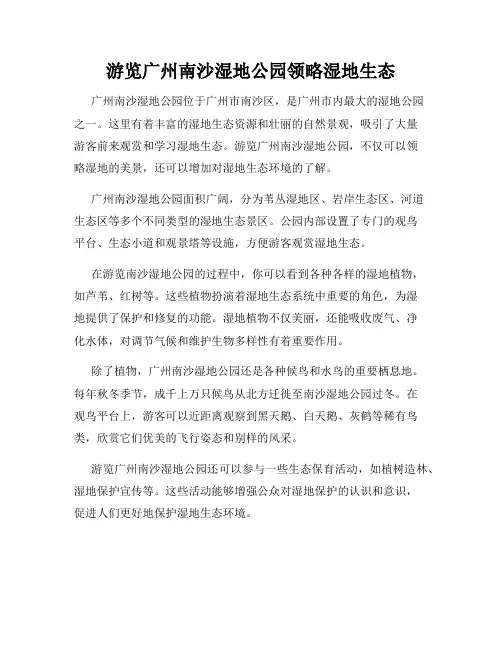 游览广州南沙湿地公园领略湿地生态