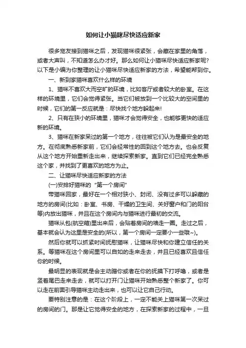 如何让小猫咪尽快适应新家