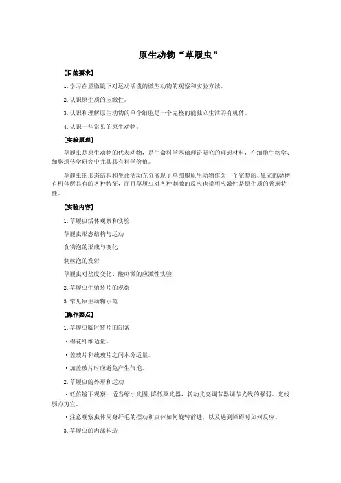 原生动物系列实验