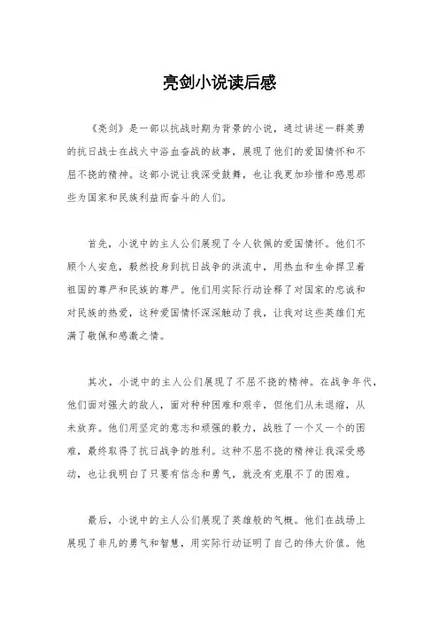 亮剑小说读后感