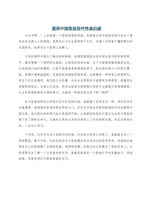 透明中国视觉现代性读后感