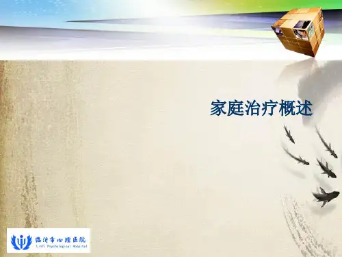 家庭治疗概述