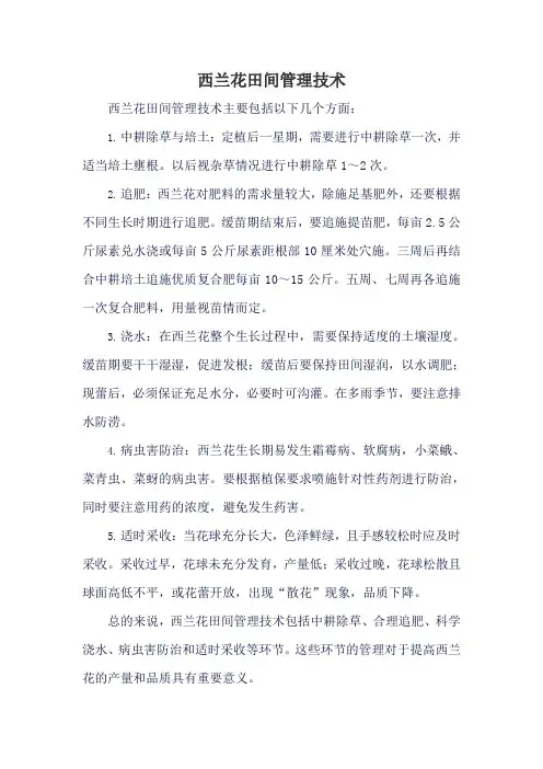 西兰花田间管理技术