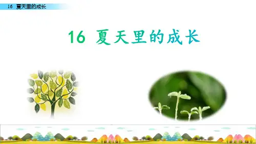 《夏天里的成长》ppt课件