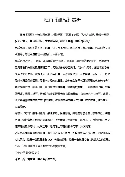 杜甫《孤雁》赏析