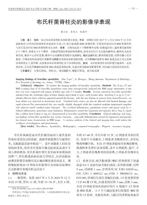 布氏杆菌脊柱炎的影像学表现