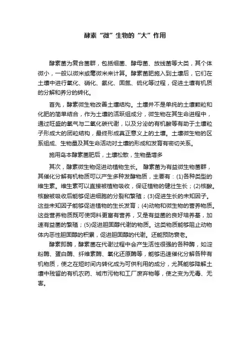 酵素“微”生物的“大”作用