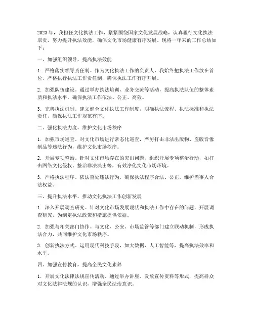 文化执法工作总结个人