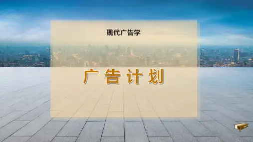 广 告 计 划
