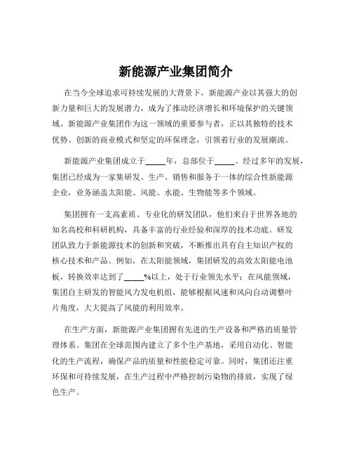 新能源产业集团简介