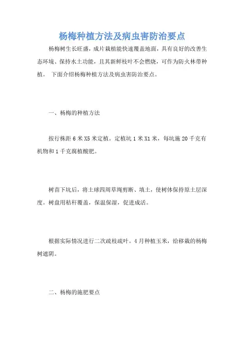 杨梅种植方法及病虫害防治要点