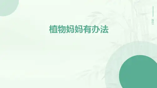 植物妈妈有办法