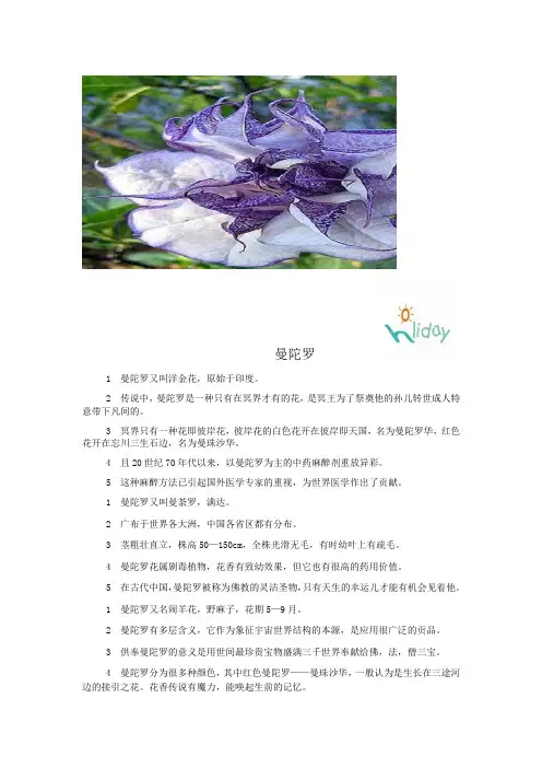 曼陀罗
