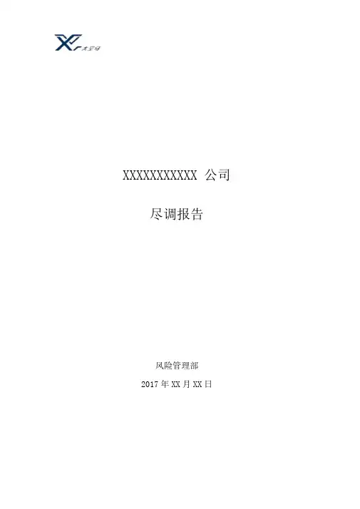 尽调报告模板