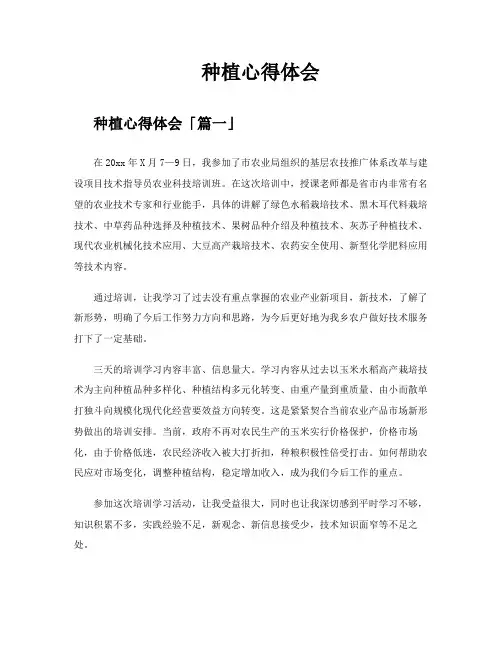 种植心得体会