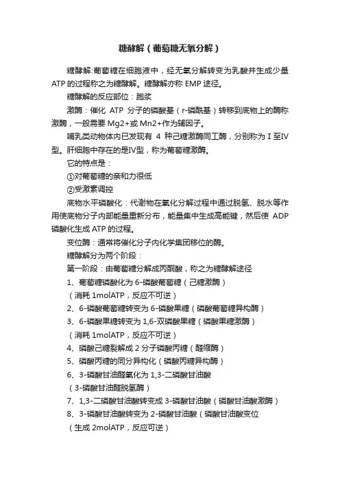 糖酵解（葡萄糖无氧分解）