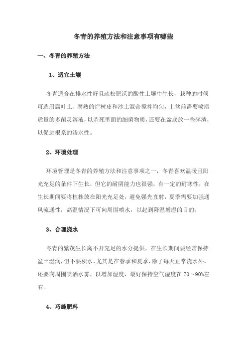 冬青的养殖方法和注意事项有哪些