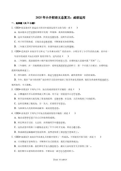 2025届小升初语文总复习：成语运用附答案解析